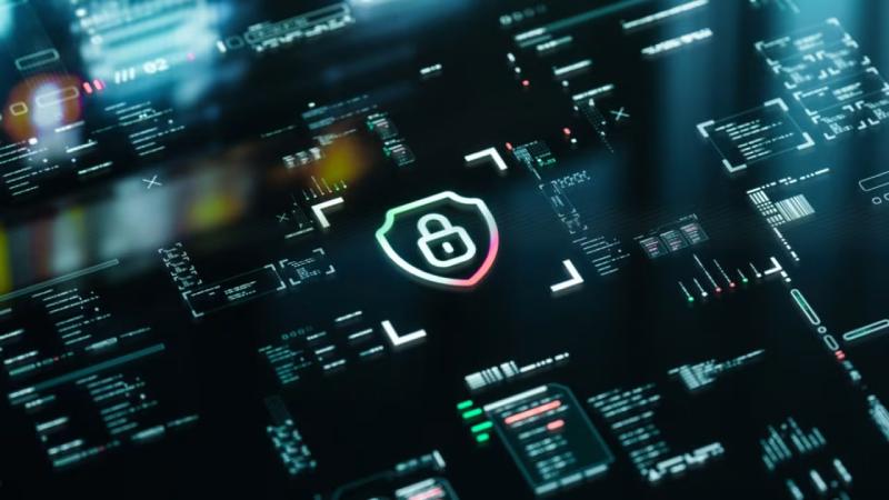 锦江区软件开发公司